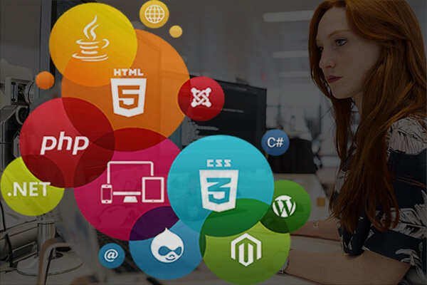 Web Development Course in Tamilnadu | Dindigul web-development-course